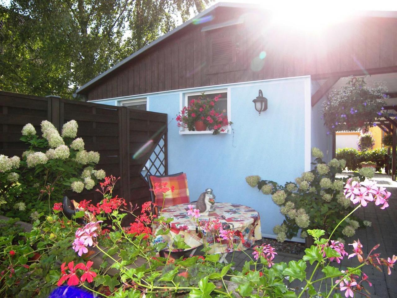 Apartamento Goetze Petra Zinnowitz Exterior foto